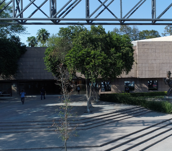 FARQ UANL 2